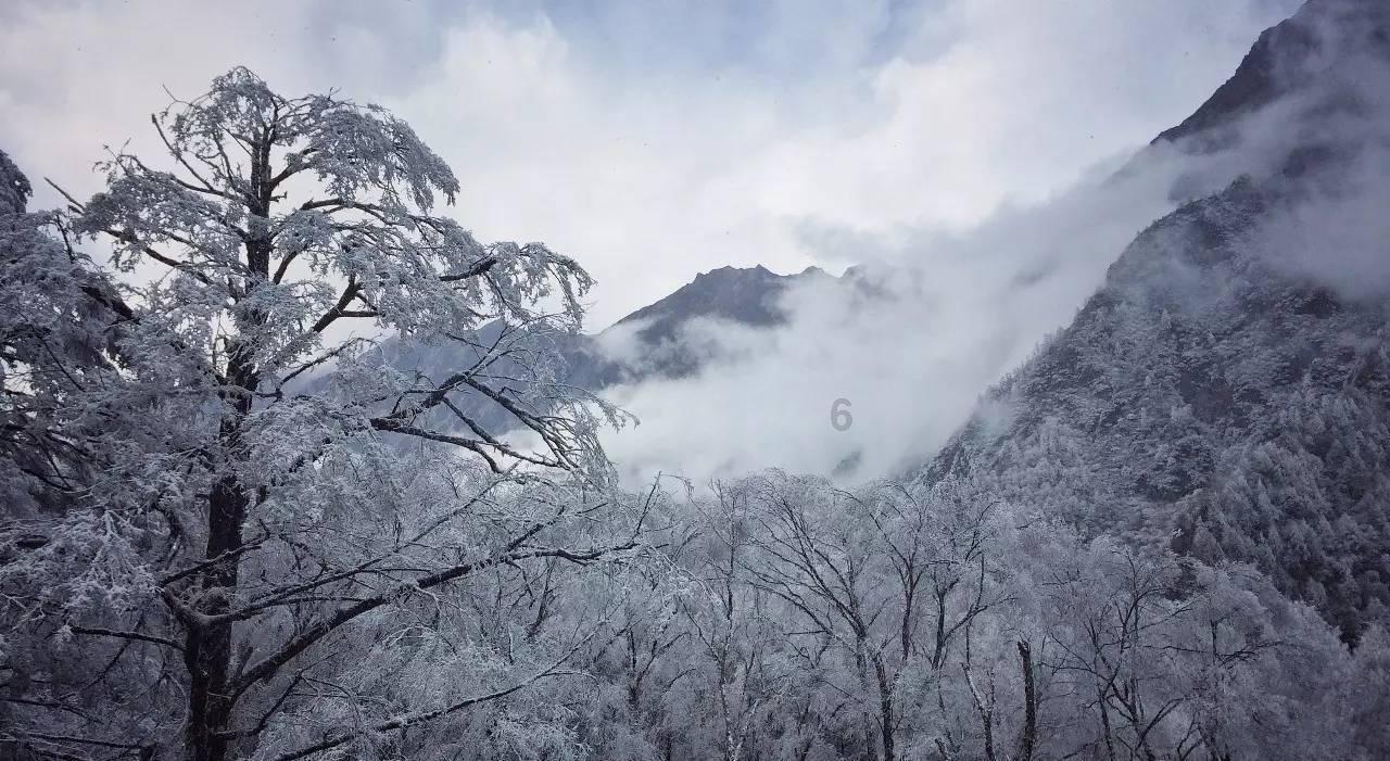 历史上哪位太监最威武-机智问答网页
